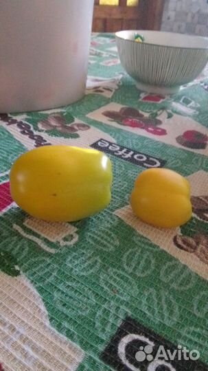 Семена томатов