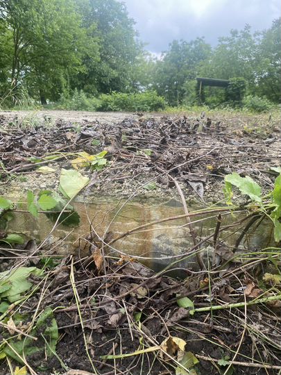 Участок 12 сот. (ИЖС)