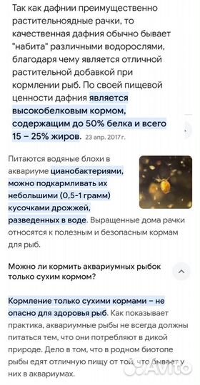 Дафния живой корм