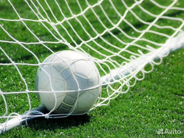 Сетка на ворота под заказ