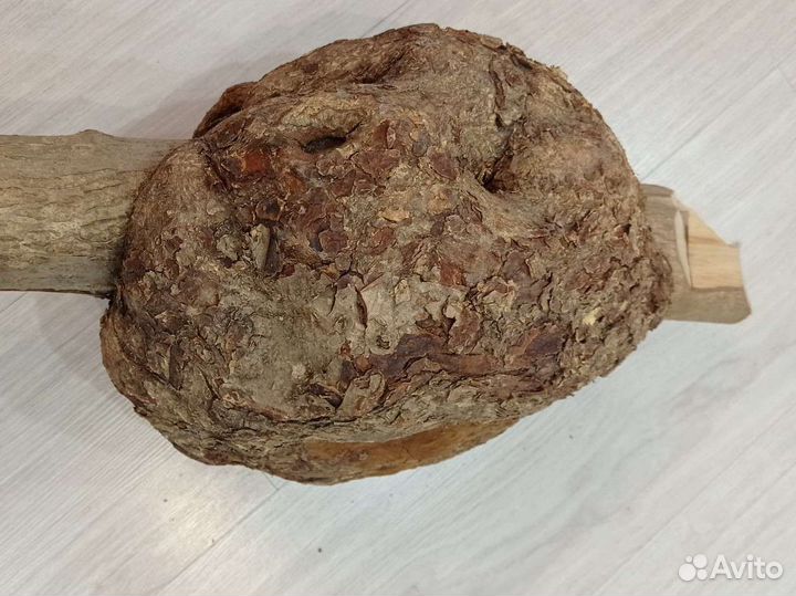 Кап ореховый