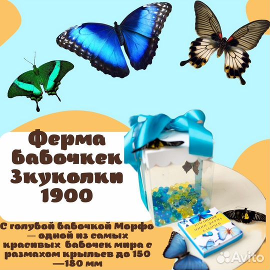 Детская мини ферма бабочек