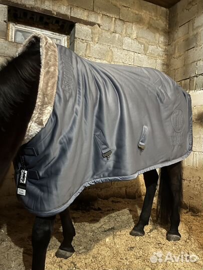 Попона Eskadron