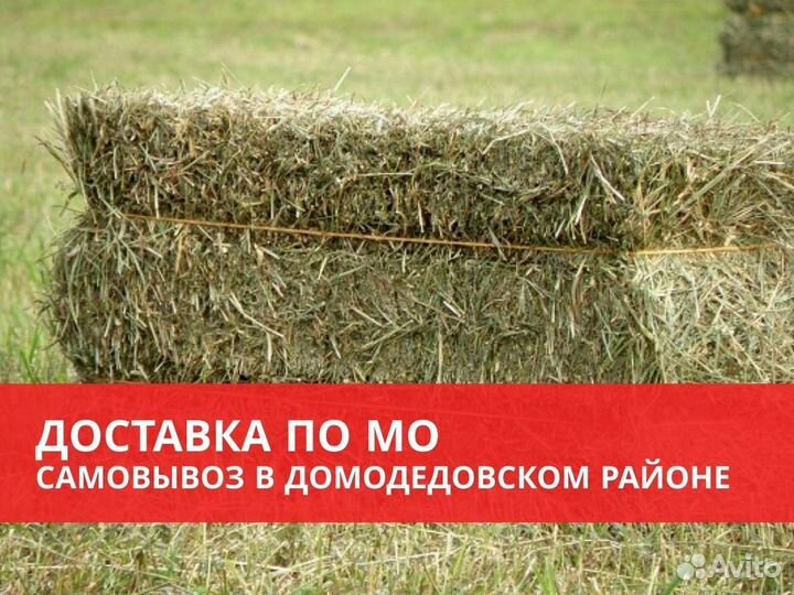 Сено в тюках и мешках