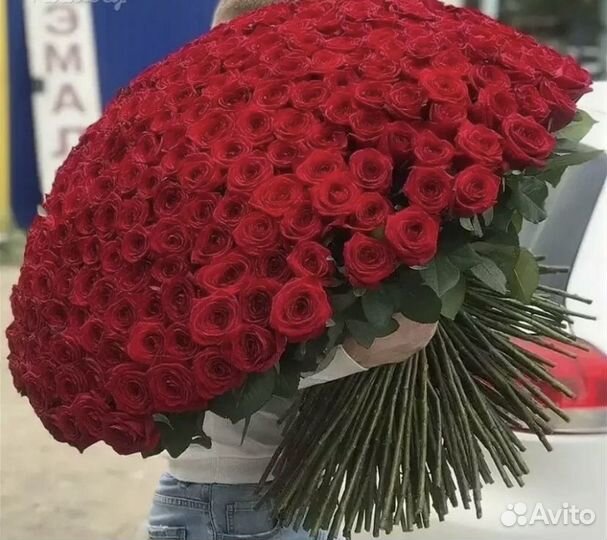 Роза эквадор оптом