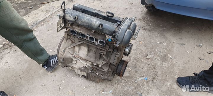 Двигатель форд фокус 2 1.6 shda