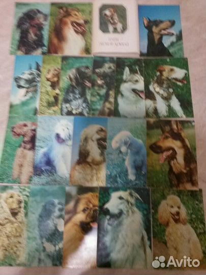 Наборы открыток