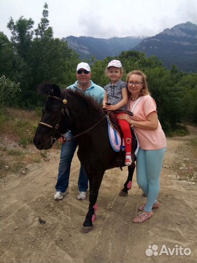 Прогулки на пони в Ялте Обучение В.Е