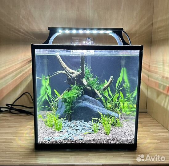 Аквариум с готовым дизайном