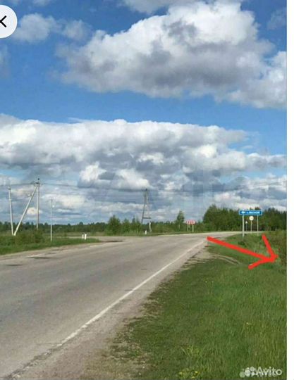 Участок 15,6 сот. (ИЖС)