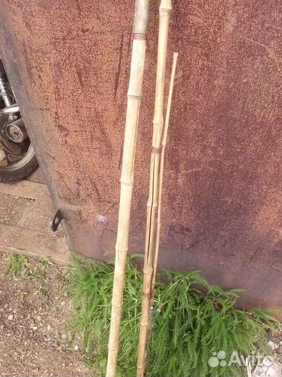 Бамбуковая удочка