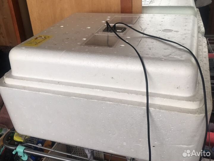 Инкубатор для яиц