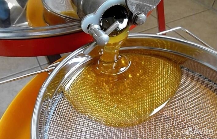 Мёд натуральный с Алтая опт от 16кг