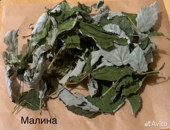 Лист малины и лист дуба для палочников и рептилий