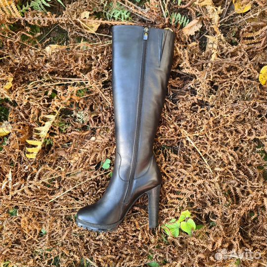 Сапоги женские