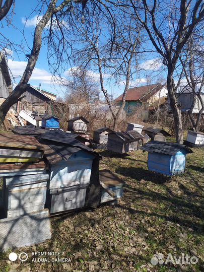 Для пчеловодства пчёла инвентарь