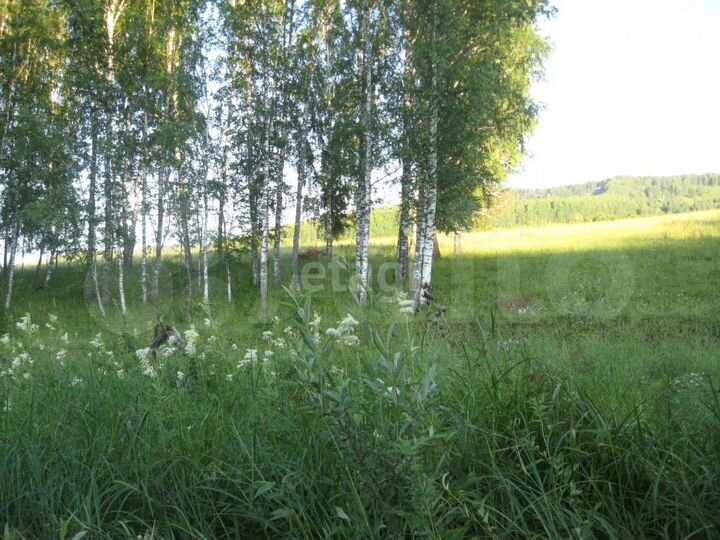 Участок 19,2 га (промназначения)