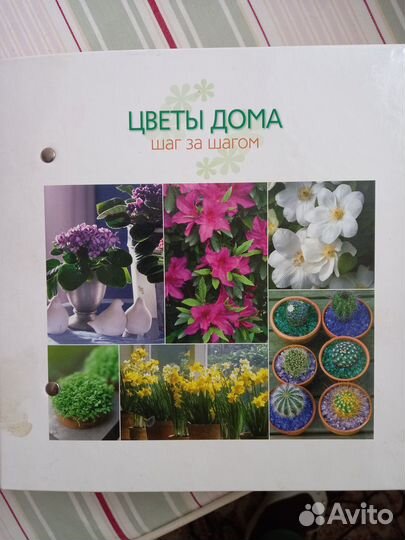 Журнал-книга. Цветы дома. Шаг за шагом