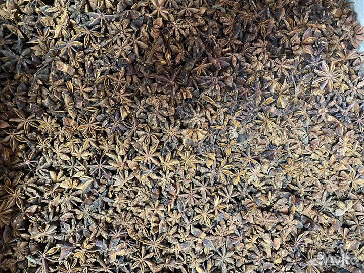 Бадьян звездочки (анис)