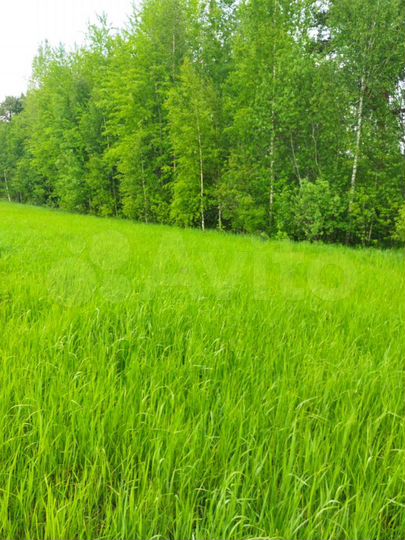 Участок 6 сот. (ИЖС)