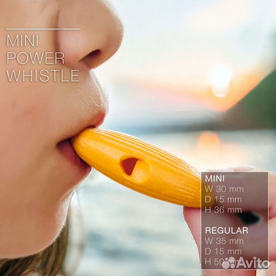 Свисток двухтональный пластиковый 3D