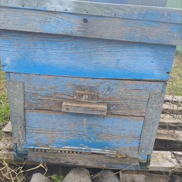 Продам улья и пчел с ульями