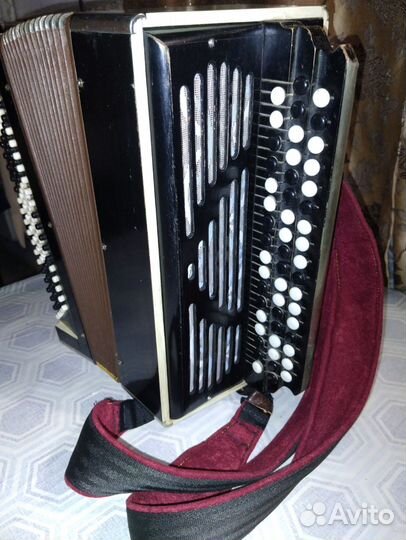 Баян тульский