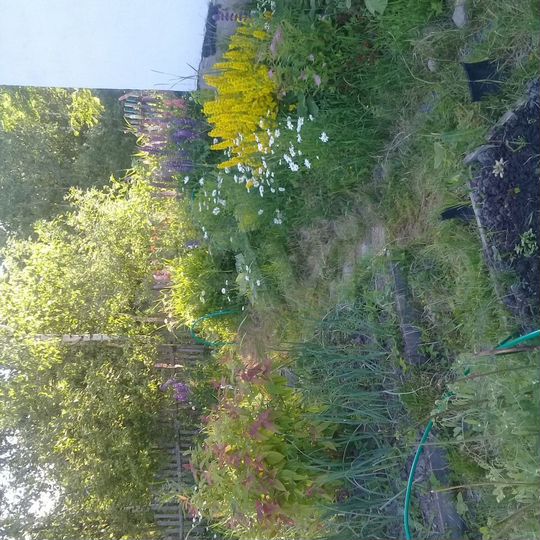 Дача 50 м² на участке 13 сот.