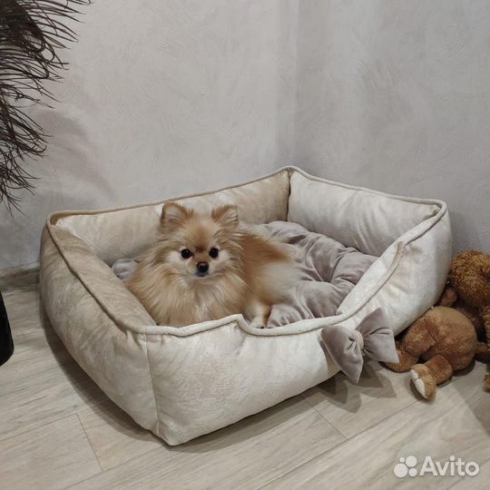 Лежанки для собак