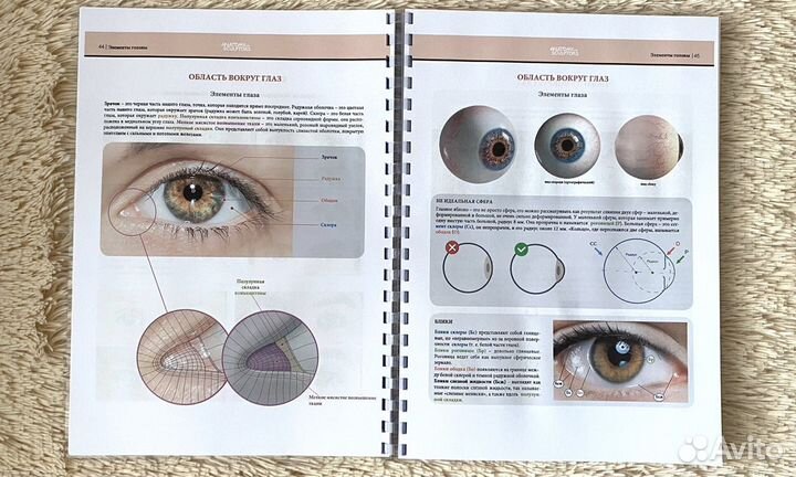Форма головы и шеи