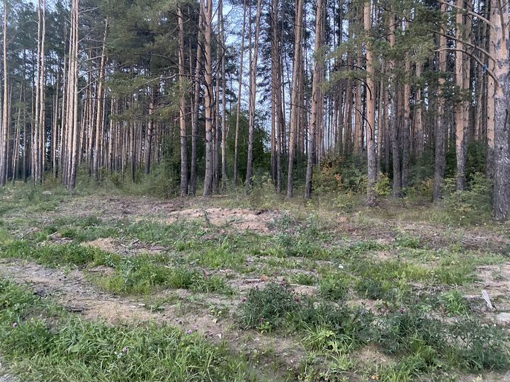 Участок 10 сот. (ИЖС)