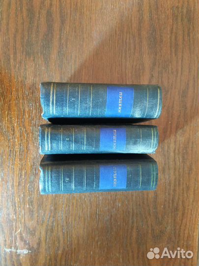 Пушкин букинистический