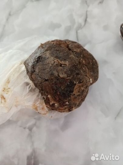 Прополис пчелиный