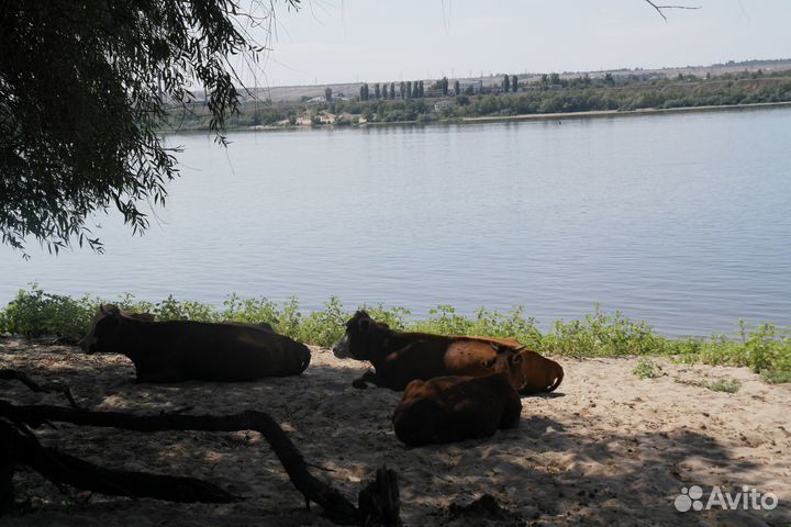 Samsung NX200 Камера Фотоаппарат