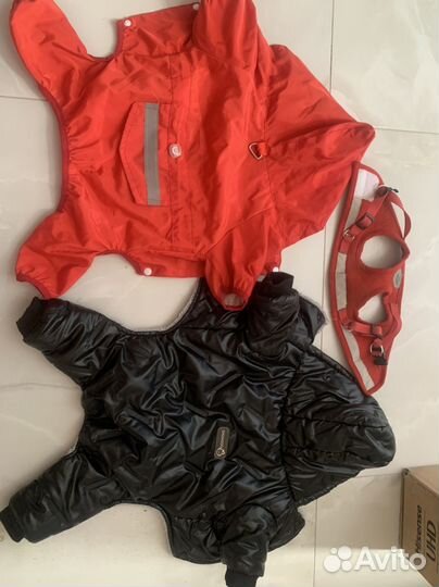 Одежда для собак мелких пород