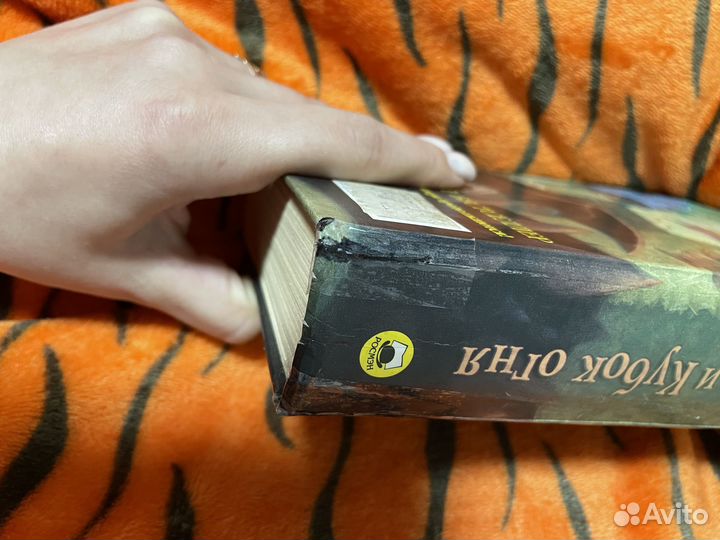 Гарри Поттер и Кубок Огня 2002г