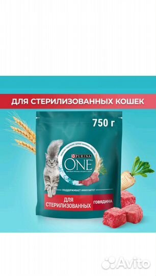 Корм для кошек