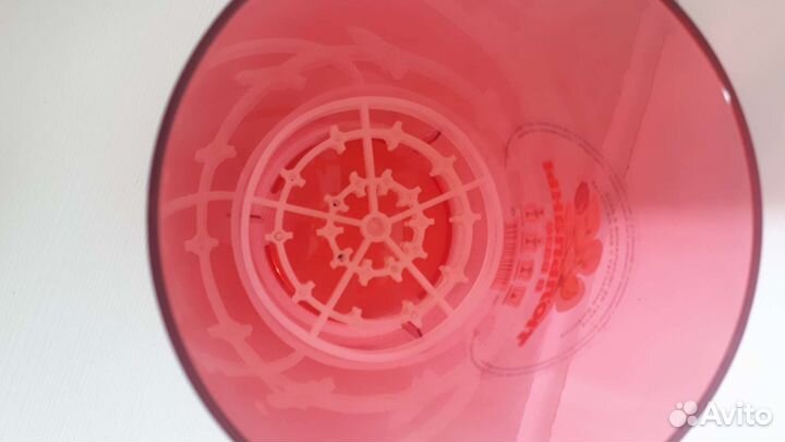 Ваза для проращивания тюльпанов