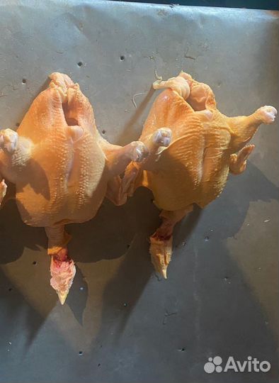 Куры бройлеры тушки мясо