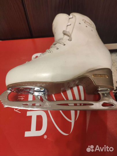 Фигурные коньки edea chorus 220