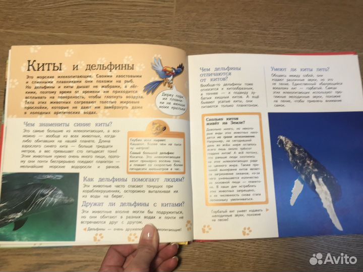 Детская Большая энциклопедия животных