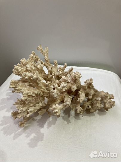 Декорации для аквариума для Александра