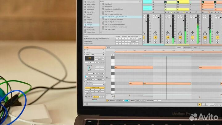 Ableton Live 12.1 Suite Полная оф. лицензия