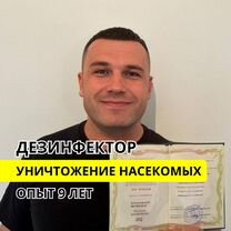 Уничтожение клопов тараканов Дезинсекция