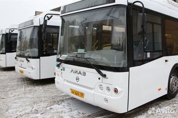 Водитель автобуса