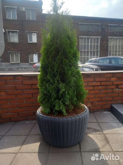 Кашпо из искусственного ротанга