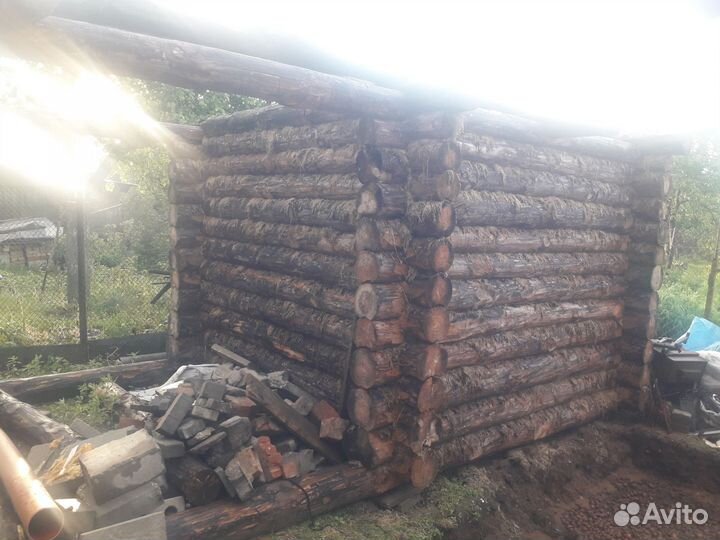 Домашние цветы