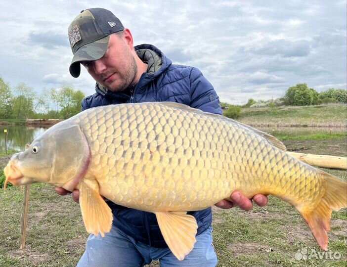 Платная рыбалка