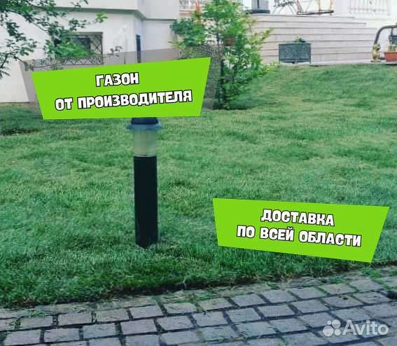Рулонный газон