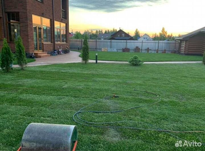 Рулонный газон